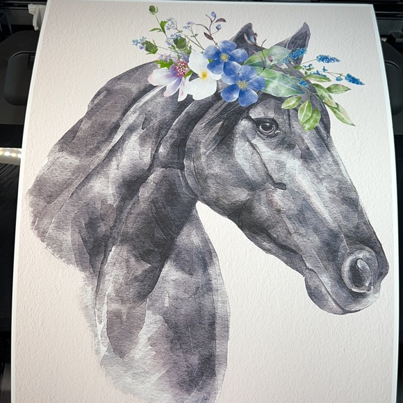 Wall Art Horse Portrait Print Poster Unframed - Picture 11 of 12